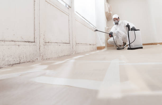 24/7 Emergency Basement Mold Remediation experts in Hawk Run, PA